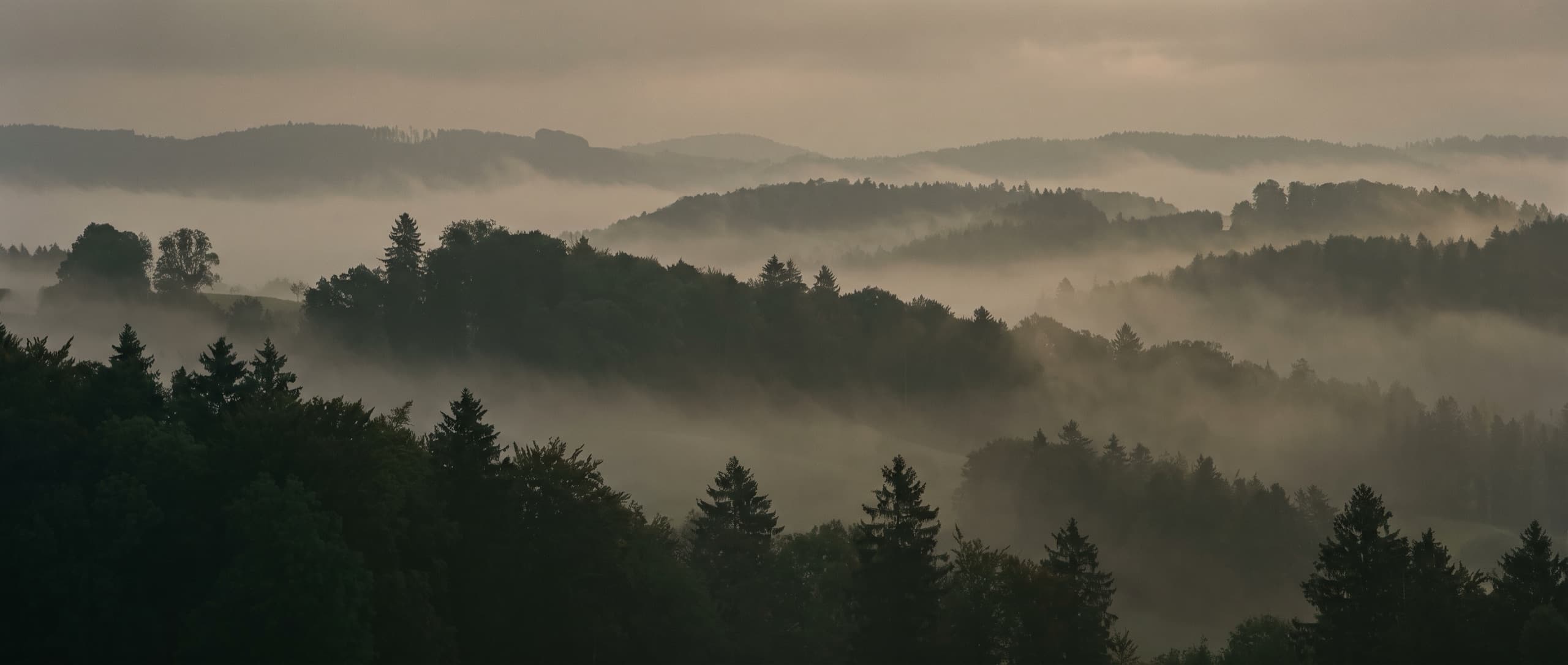 Morgennebel über bewaldeten Aargauer Hügeln